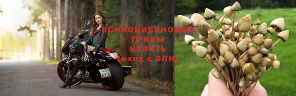 соль ск Абаза