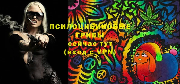 соль ск Абаза