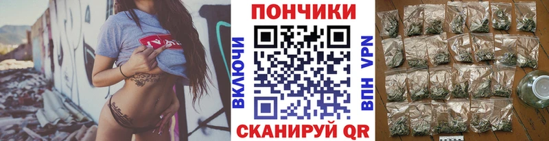 где купить наркоту  Шилка  Бошки марихуана планчик 